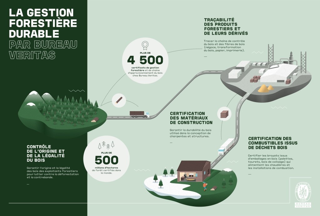 Schéma forêt durable