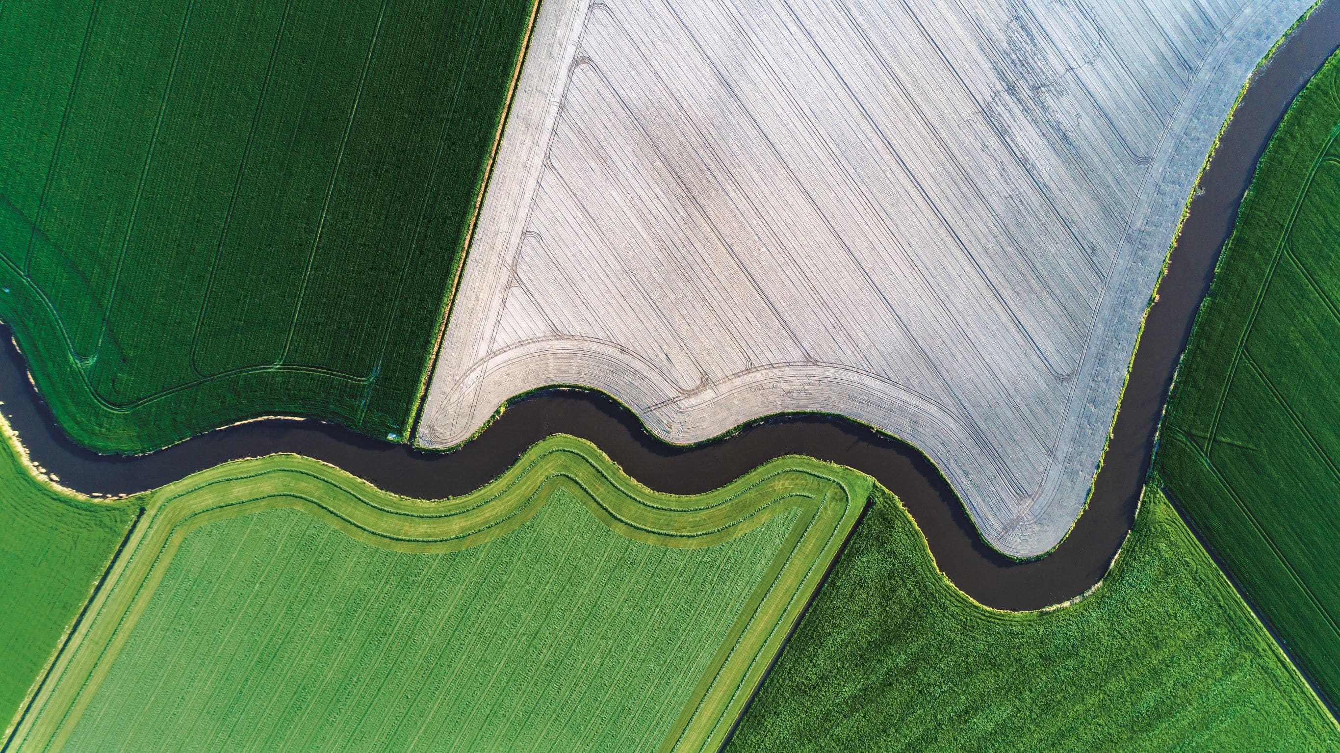 PR_H1_2020-credit-GettyImages-872179012