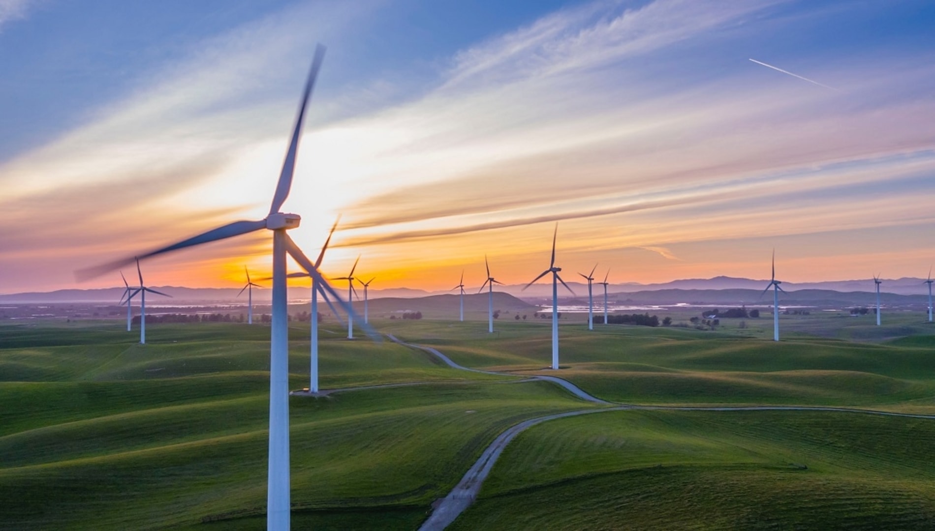 Wind turbine in a field