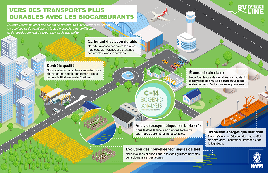BV Infographie sur les biocarburants