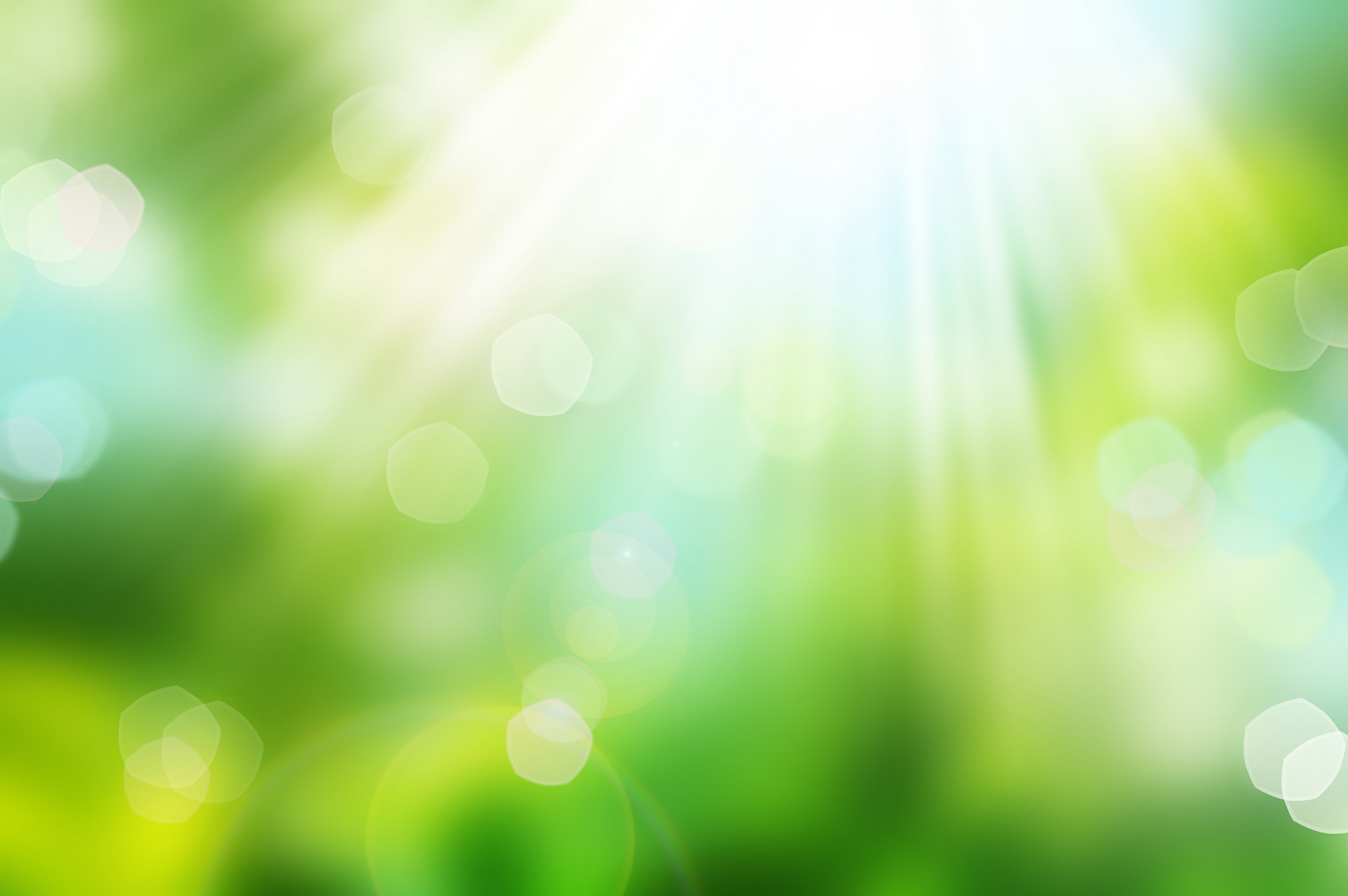 Blurry green background