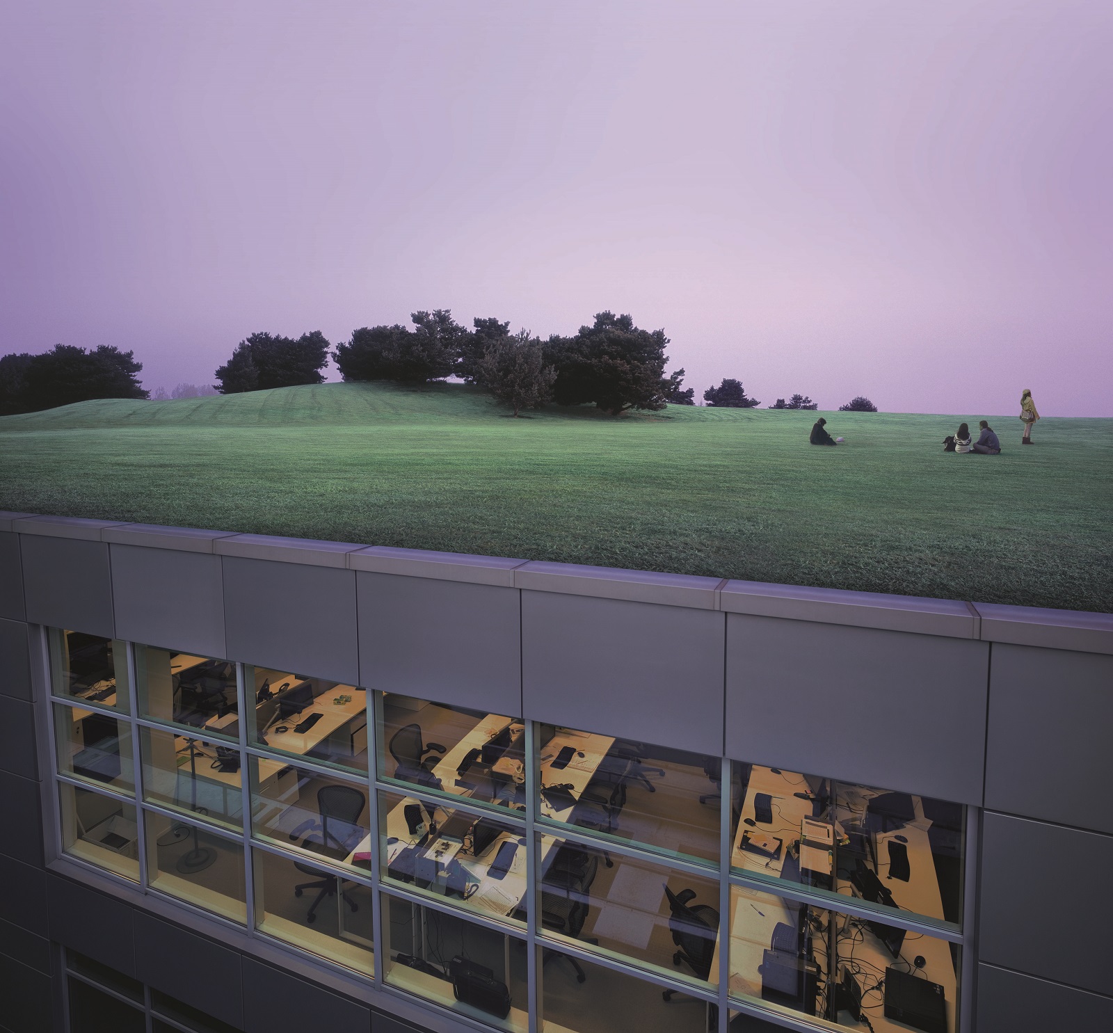 a lawn on the roof of an office