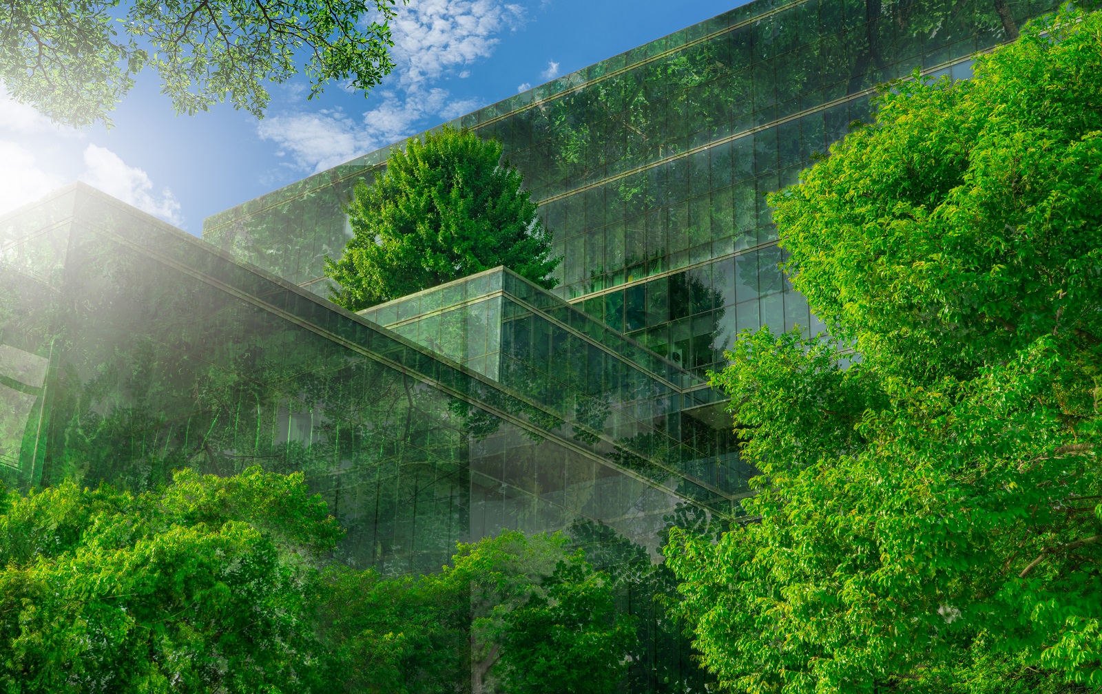 View of Eco-Design Solutions | Bureau Veritas