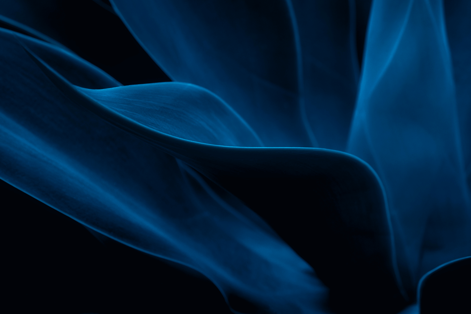 Abstract background of blue veils