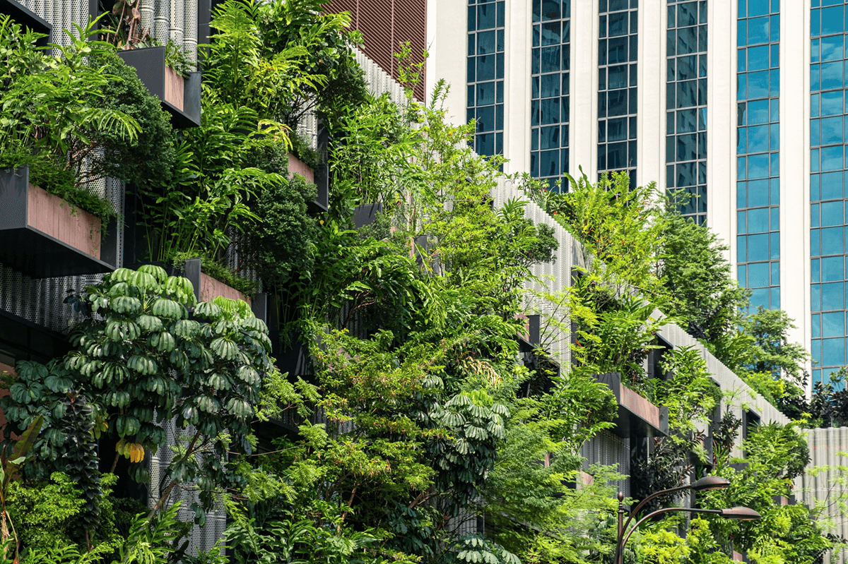 Building Facade With Green Plants 