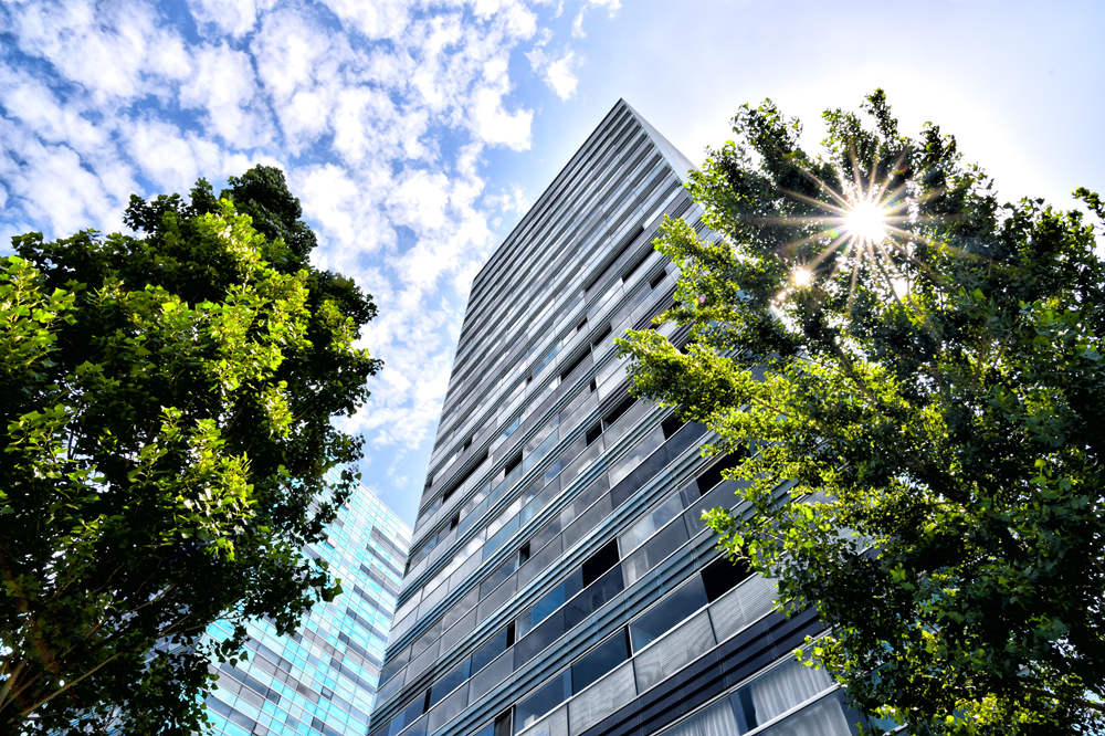 Immeuble de bureaux entre les arbres