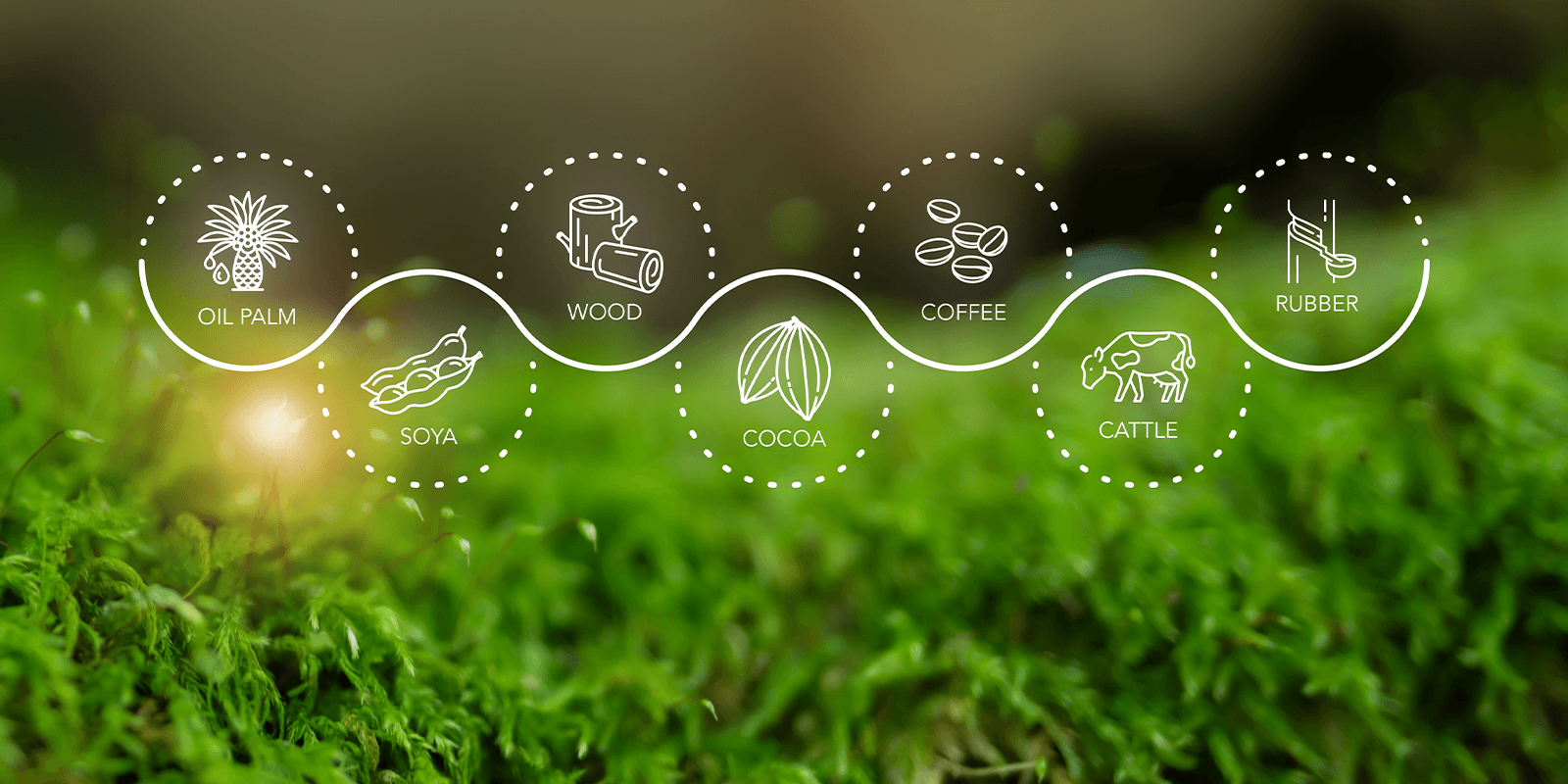 EUDR traceability