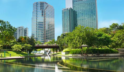 Mirror buildings and trees