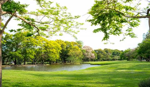 Cover infog same summer at the park