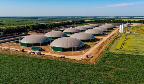 Biofuel production plan