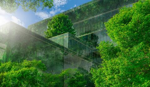 Office building with green environment
