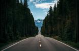 Highway through dense forest under cloudy skie