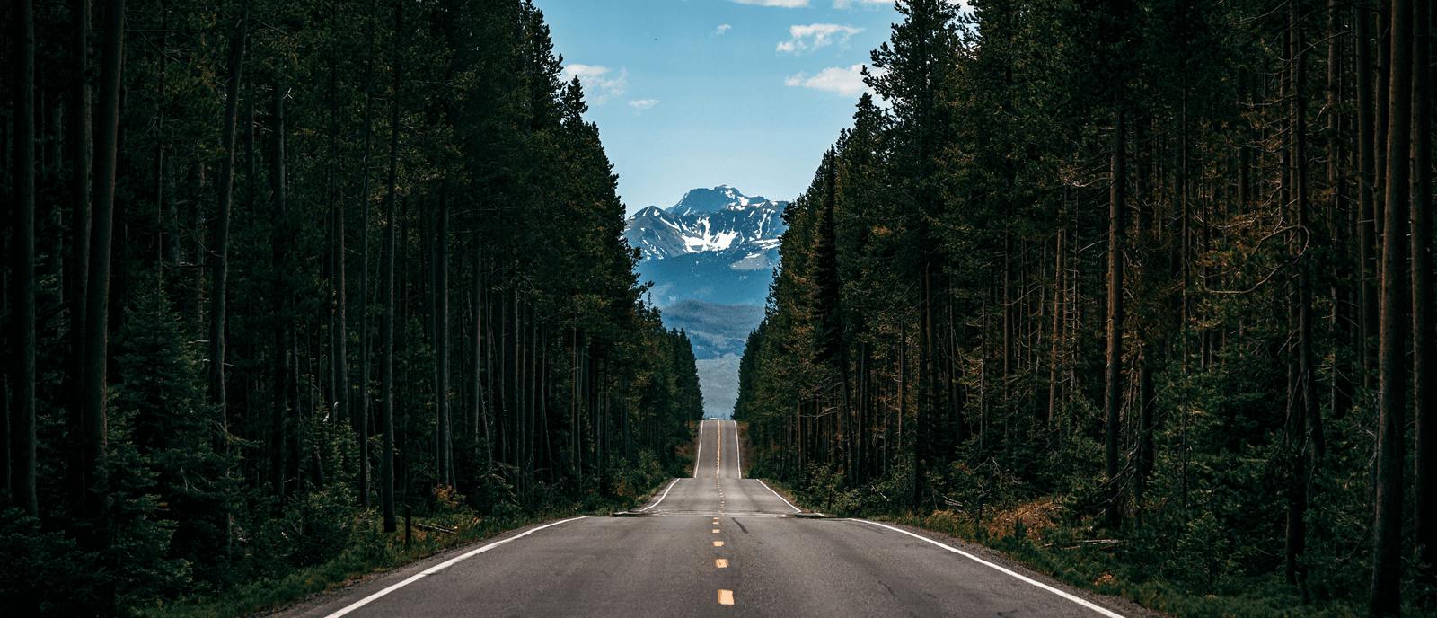 Une route traversant une forêt dense sous un ciel nuageux