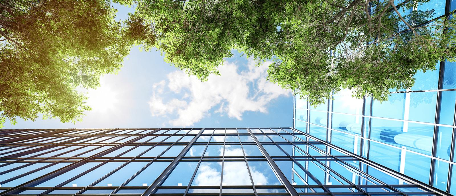 Immeuble de bureaux moderne et écologique, entouré d'arbres et de verdure
