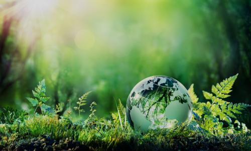 Green earth, forest and leaves - B2B2S