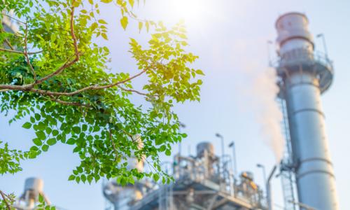Tree in front of a power plant