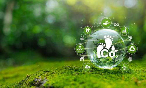 Concepts of sustainable development and green business
