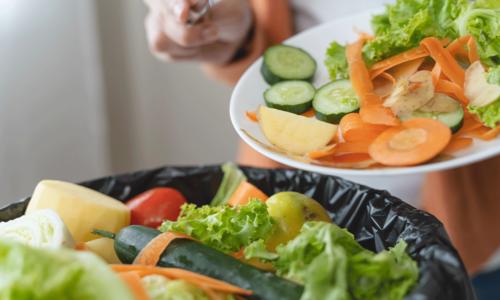 Personnes mettant des déchets biodégradables issus des aliments dans des foyers domestiques