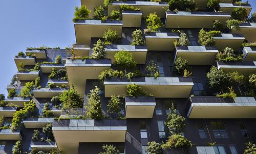 Green Architecture