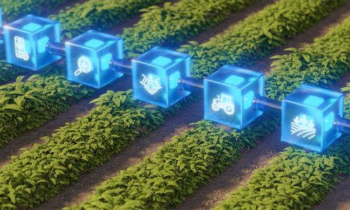 Blockchain agriculture concept