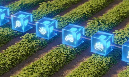 Blockchain agriculture concept