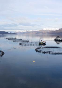 Tuile All About Trust