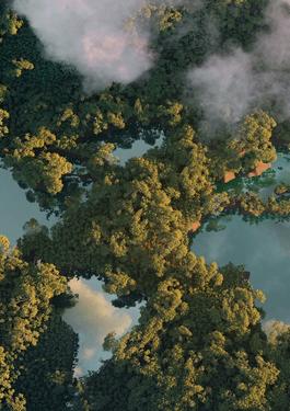 View from the sky 