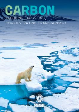 A bear on an iceberg 