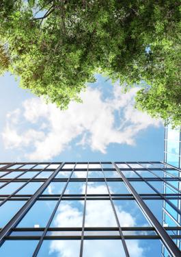 Modern eco-friendly office building surrounded by trees and natural greenery