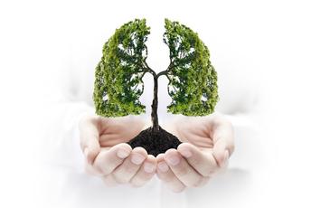 main qui tient un arbre en forme de poumon