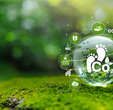 Concepts of sustainable development and green business
