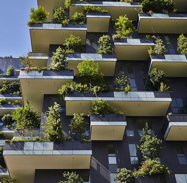 Green Architecture