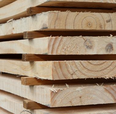 Pine planks stacked for kiln-drying